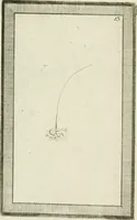 Picture 130 of 184 from Essai sur la physiognomonie : destiné a faire connoître l'homme & à le faire aimer (1781), leaf 343