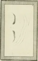 An illustration from Essai sur la physiognomonie : destiné a faire connoître l'homme & à le faire aimer (1781)