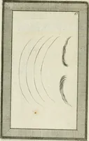 Picture 133 of 184 from Essai sur la physiognomonie : destiné a faire connoître l'homme & à le faire aimer (1781), leaf 347
