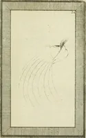 Picture 137 of 184 from Essai sur la physiognomonie : destiné a faire connoître l'homme & à le faire aimer (1781), leaf 352