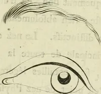 An illustration from Essai sur la physiognomonie : destiné a faire connoître l'homme & à le faire aimer (1781)