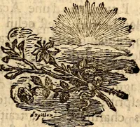 An illustration from Essai sur le beau : augmentée de six discours : sur le modus, sur le decorum, sur les graces, sur l'amour du beau, sur l'amour désintéressé (1770)