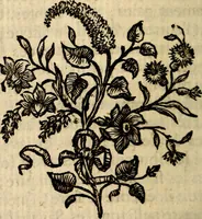 An illustration from Essai sur le beau : augmentée de six discours : sur le modus, sur le decorum, sur les graces, sur l'amour du beau, sur l'amour désintéressé (1770)