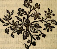 An illustration from Essai sur le beau : augmentée de six discours : sur le modus, sur le decorum, sur les graces, sur l'amour du beau, sur l'amour désintéressé (1770)