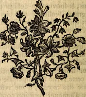 An illustration from Essai sur le beau : augmentée de six discours : sur le modus, sur le decorum, sur les graces, sur l'amour du beau, sur l'amour désintéressé (1770)