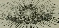 An illustration from Essai sur les jardins (1774)