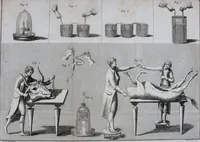 Picture 1 of 6 from Essai théorique et expérimental sur le galvanisme : avec une série d'expériences faites en présence des commissaires de l'Institut national de France, et en divers amphithéatres anatomiques de Londres (1804), leaf 378