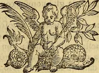 An illustration from Essame de gl'ingegni de gli hvomini, per apprender le scienze: nel quale, scoprendosi la varietà delle nature, si mostra, a che professione sia atto ciascuno, (1582)