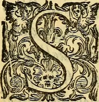 An illustration from Essame de gl'ingegni de gli hvomini, per apprender le scienze: nel quale, scoprendosi la varietà delle nature, si mostra, a che professione sia atto ciascuno, (1582)