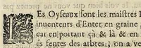 An illustration from Essay des merueilles de nature, et des plus nobles artifices : piece tres-necessaire à tous ceux qui font profession d'eloquence (1622)