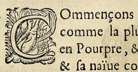 An illustration from Essay des merueilles de nature, et des plus nobles artifices : piece tres-necessaire à tous ceux qui font profession d'eloquence (1622)