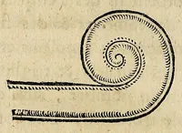An illustration from Essay des merueilles de nature, et des plus nobles artifices : piece tres-necessaire à tous ceux qui font profession d'eloquence (1622)