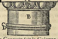 Picture 63 of 79 from Essay des merueilles de nature, et des plus nobles artifices : piece tres-necessaire à tous ceux qui font profession d'eloquence (1622), leaf 444