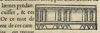 An illustration from Essay des merueilles de nature, et des plus nobles artifices : piece tres-necessaire à tous ceux qui font profession d'eloquence (1622)