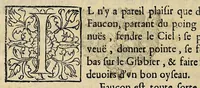 An illustration from Essay des merueilles de nature, et des plus nobles artifices : piece tres-necessaire à tous ceux qui font profession d'eloquence (1622)