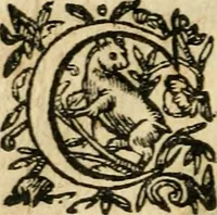 An illustration from Essay des merveilles de natvre et des plvs nobles actifices. Piece tres necessaire, à tous ceux qui font profession d'eloquence (1636)