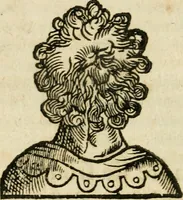 Picture 55 of 148 from Essay des merveilles de natvre et des plvs nobles actifices. Piece tres necessaire, à tous ceux qui font profession d'eloquence (1636), leaf 335