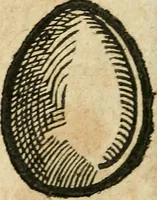 An illustration from Essay des merveilles de natvre et des plvs nobles actifices. Piece tres necessaire, à tous ceux qui font profession d'eloquence (1636)