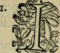 An illustration from Essay des merveilles de natvre, et des plvs nobles artifices. Piece tres-necessaire, à tous ceux qui font profession d'eloquence (1625)