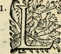 An illustration from Essay des merveilles de natvre, et des plvs nobles artifices. Piece tres-necessaire, à tous ceux qui font profession d'eloquence (1625)