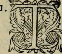 An illustration from Essay des merveilles de natvre, et des plvs nobles artifices. Piece tres-necessaire, à tous ceux qui font profession d'eloquence (1625)