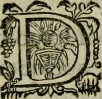 An illustration from Essay des merveilles de natvre, et des plvs nobles artifices. Piece tres-necessaire, à tous ceux qui font profession d'eloquence (1625)