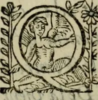 An illustration from Essay des merveilles de natvre, et des plvs nobles artifices. Piece tres-necessaire, à tous ceux qui font profession d'eloquence (1625)