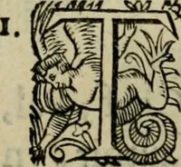 An illustration from Essay des merveilles de natvre, et des plvs nobles artifices. Piece tres-necessaire, à tous ceux qui font profession d'eloquence (1625)