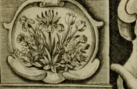 An illustration from Essay des merveilles de natvre, et des plvs nobles artifices. Piece tres-necessaire, à tous ceux qui font profession d'eloquence (1625)