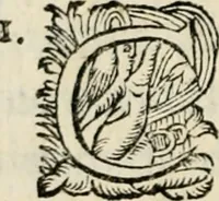 An illustration from Essay des merveilles de natvre, et des plvs nobles artifices. Piece tres-necessaire, à tous ceux qui font profession d'eloquence (1625)