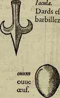 Picture 116 of 158 from Essay des merveilles de natvre, et des plvs nobles artifices. Piece tres-necessaire, à tous ceux qui font profession d'eloquence (1625), leaf 432