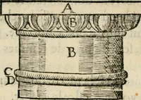 An illustration from Essay des merveilles de natvre, et des plvs nobles artifices. Piece tres-necessaire, à tous ceux qui font profession d'eloquence (1625)
