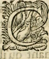 An illustration from Essay des merveilles de natvre, et des plvs nobles artifices. Piece tres-necessaire, à tous ceux qui font profession d'eloquence (1625)