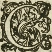 An illustration from Essay instrvctif de l'art d'escritvre : où par vne nouuelle methode, le mystere de l'escriuain est clairement découuert & expliqué par le nombre ternaire, & autres enseignemens : auec vne ample digression sur les verifications & comparaisons des escritures & signatures : outre les maximes importantes de l'art. (1639)