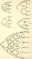 An illustration from An essay on the origin and development of window tracery in England; with nearly four hundred illustrations (1851)