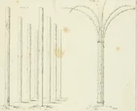 An illustration from Essay on the origin, history, and principles, of Gothic architecture (1813)
