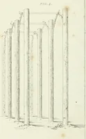 An illustration from Essay on the origin, history, and principles, of Gothic architecture (1813)