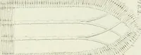 An illustration from Essay on the origin, history, and principles, of Gothic architecture (1813)