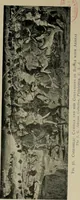 An illustration from Essays in the study of Sienese painting (1918)