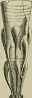An illustration from Essays on archaeological subjects, and on various questions connected with the history of art, science, and literature in the Middle Ages (1861)