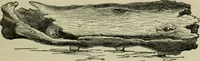 An illustration from Essays on archaeological subjects, and on various questions connected with the history of art, science, and literature in the Middle Ages (1861)