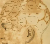 An illustration from Essays on phrenology : or an inquiry into the principles and utility of the system of Drs. Gall and Spurzheim, and into the objections made against it (1822)