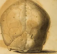 An illustration from Essays on phrenology : or an inquiry into the principles and utility of the system of Drs. Gall and Spurzheim, and into the objections made against it (1822)