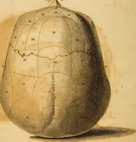 Picture 8 of 10 from Essays on phrenology : or an inquiry into the principles and utility of the system of Drs. Gall and Spurzheim, and into the objections made against it (1822), leaf 486
