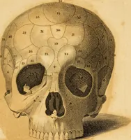 An illustration from Essays on phrenology : or an inquiry into the principles and utility of the system of Drs. Gall and Spurzheim, and into the objections made against it (1822)