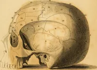 An illustration from Essays on phrenology : or an inquiry into the principles and utility of the system of Drs. Gall and Spurzheim, and into the objections made against it (1822)