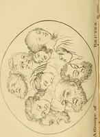 Picture 7 of 77 from Essays on physiognomy; calculated to extend the knowledge and the love of mankind (1797), leaf 121