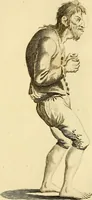 Picture 15 of 77 from Essays on physiognomy; calculated to extend the knowledge and the love of mankind (1797), leaf 186