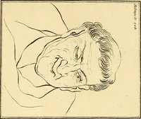 An illustration from Essays on physiognomy; calculated to extend the knowledge and the love of mankind (1797)