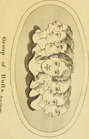 Picture 25 of 77 from Essays on physiognomy; calculated to extend the knowledge and the love of mankind (1797), leaf 226